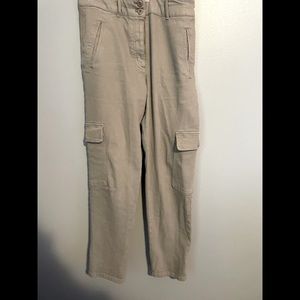 Aritzia Wilfred Free Modern Cargo Pants